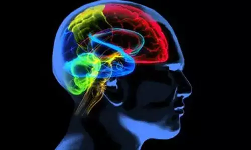 New Gen AI model to help explain human memory, imagination