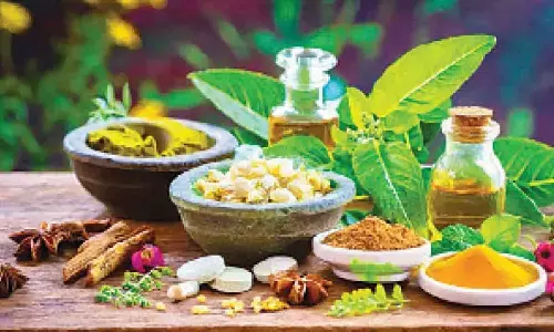 Smart protein trends and predictions for 2024