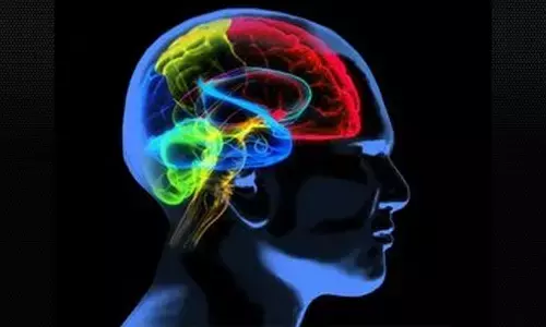 New Gen AI model to help explain human memory, imagination