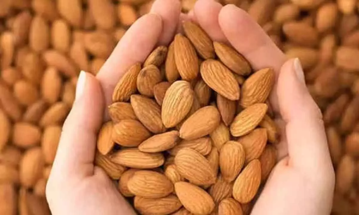 Add a Healthy Twist to Holi Make Almonds Your Go-To Festive Snack