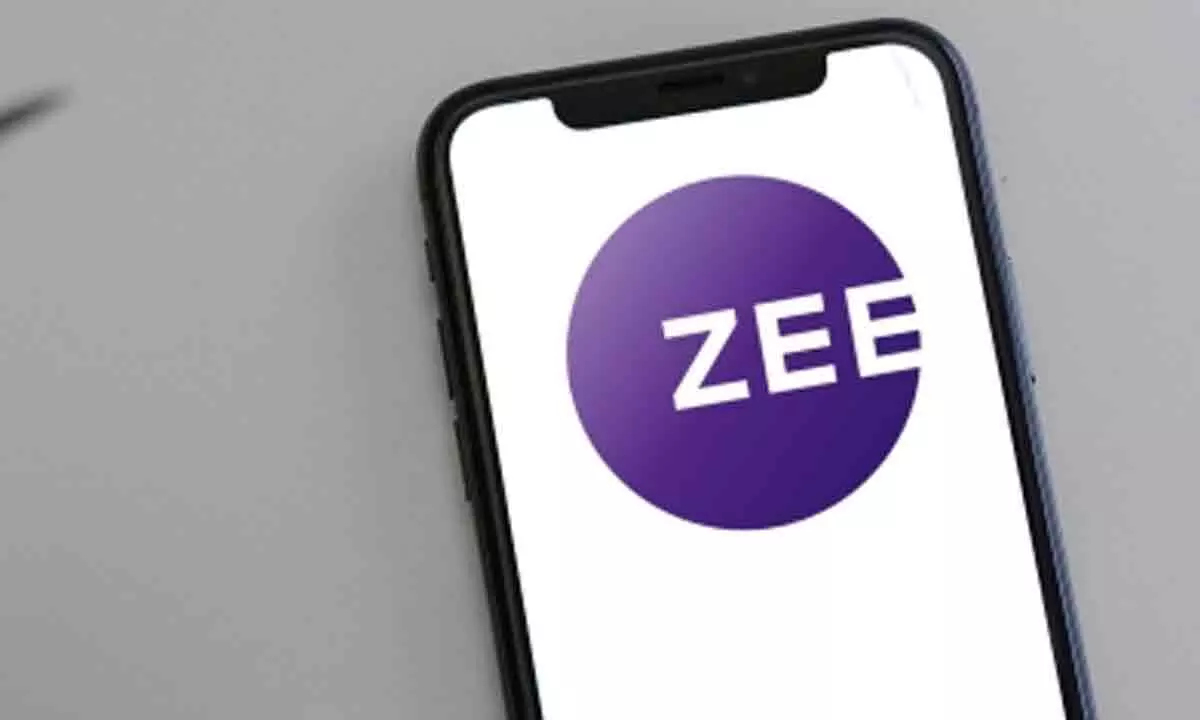 Zee shares now down 30% in a single trading session