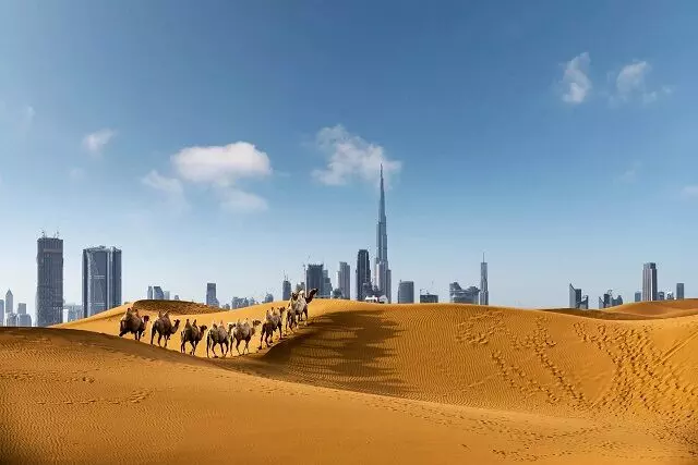 Surviving the Heat: Essential Tips for a Comfortable Dubai Desert Adventure