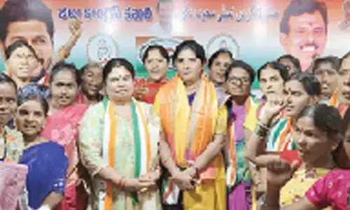 Mahila Cong chalks out LS poll strategy