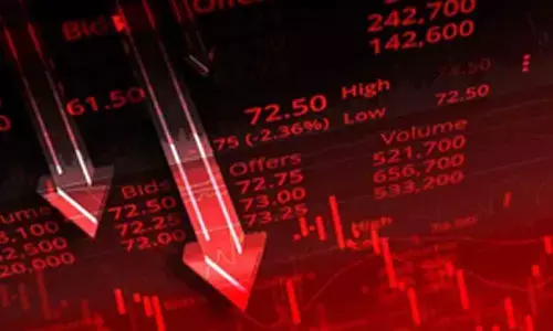 Small and midcap indices plunge