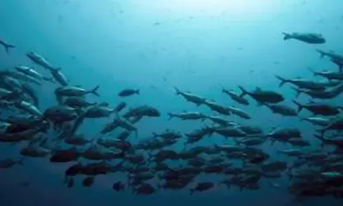 CMFRI to offer lessons on marine biodiversity and environment