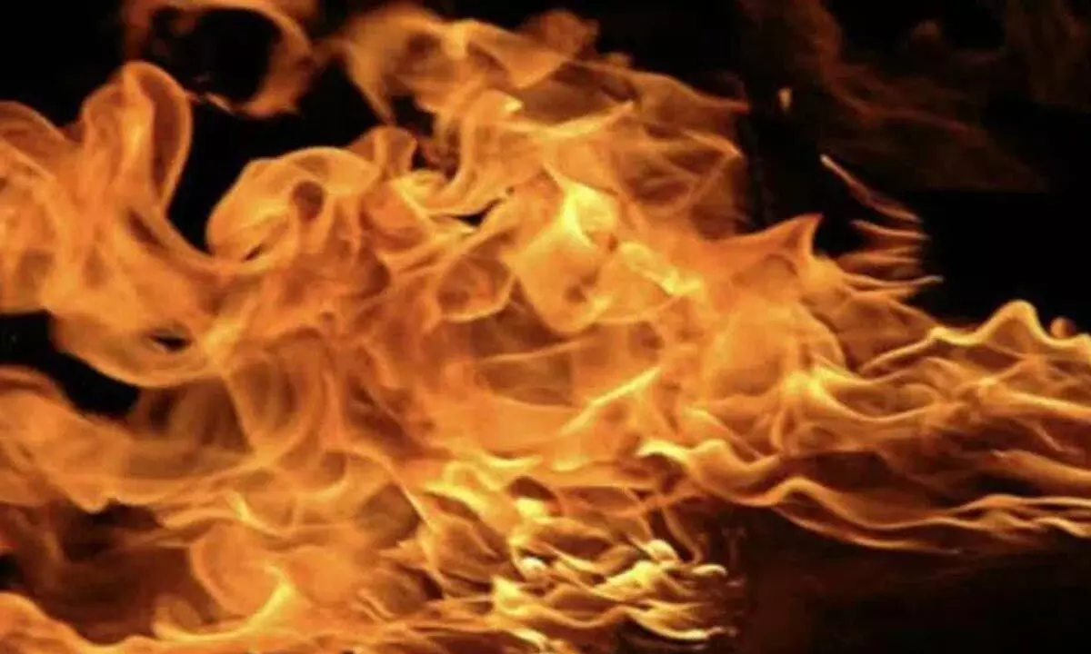 Himachal factory fire: 24 workers sustain burn injuries