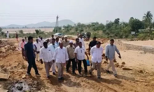 47 families of Patur have been allocated five trees