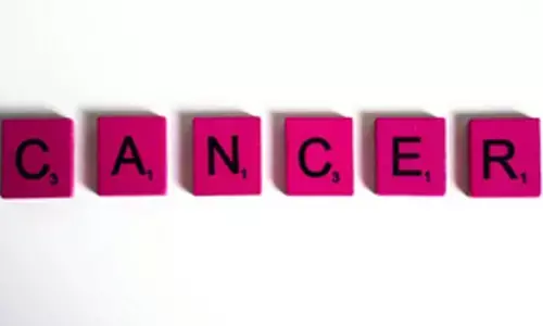 Low protein diet in pregnancy may up prostate cancer risk in kids later