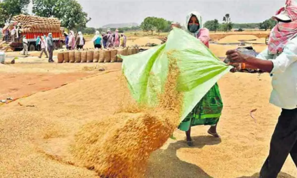 TS govt to call global tenders to sell piling up paddy stocks