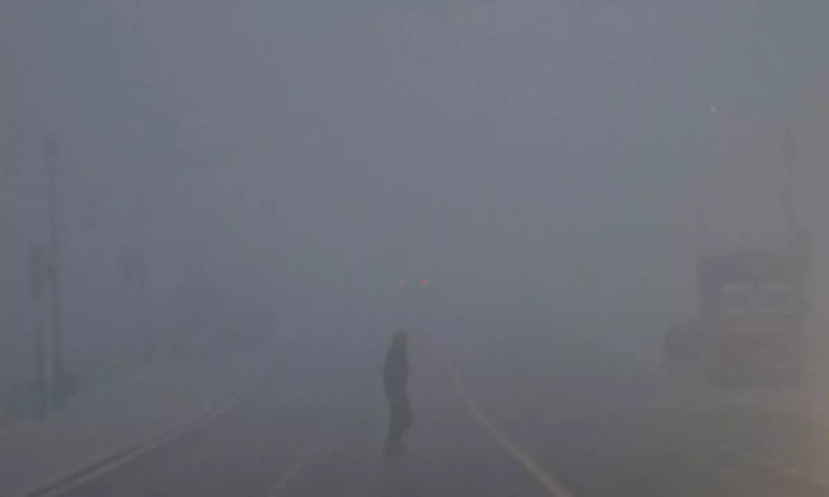 Dense fog, chilling cold to persist in North India for next two days