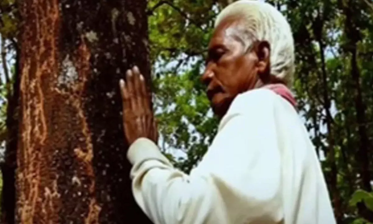Padma Shree Dukhu Majhi elated as his passion for planting trees yields fruit