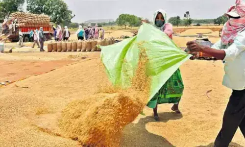 TS govt to call global tenders to sell piling up paddy stocks