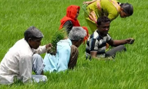Enhancement in allocation of PM-Kisan, MGNREGS a possibility to provide relief to rural economy