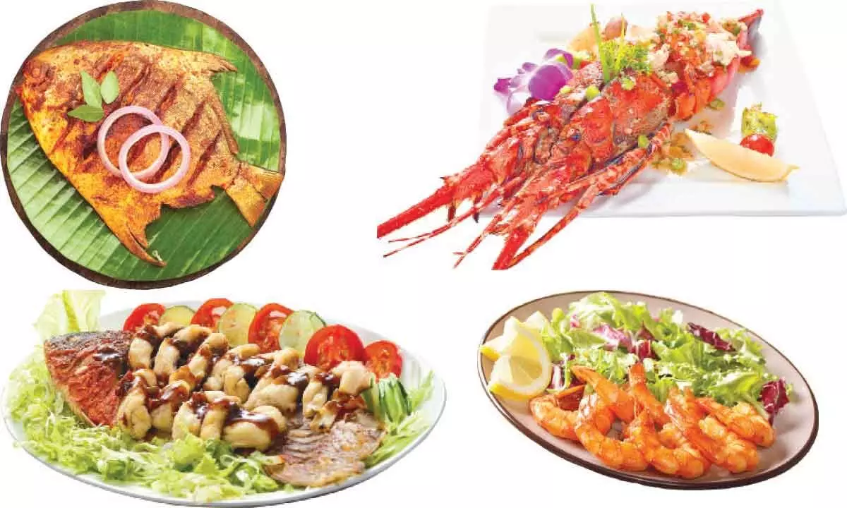 Absolute Barbecues hosts mouthwatering seafood extravaganza - MARINE FEAST-A-THON!