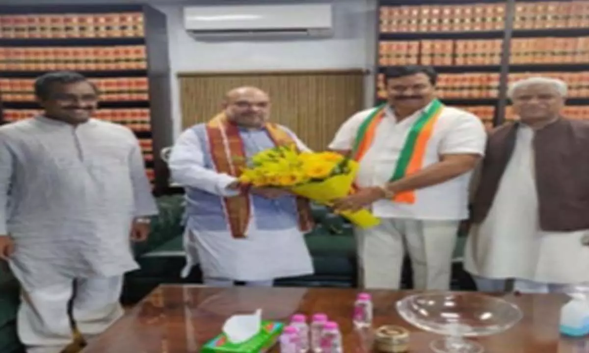 BJP appoints Aravind Menon, Sudhakar Reddy as in-charges of TN
