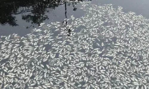 Representational picture