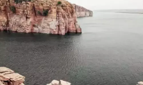 Police cane TDP-Jana Sena activists over Varikapudisela works