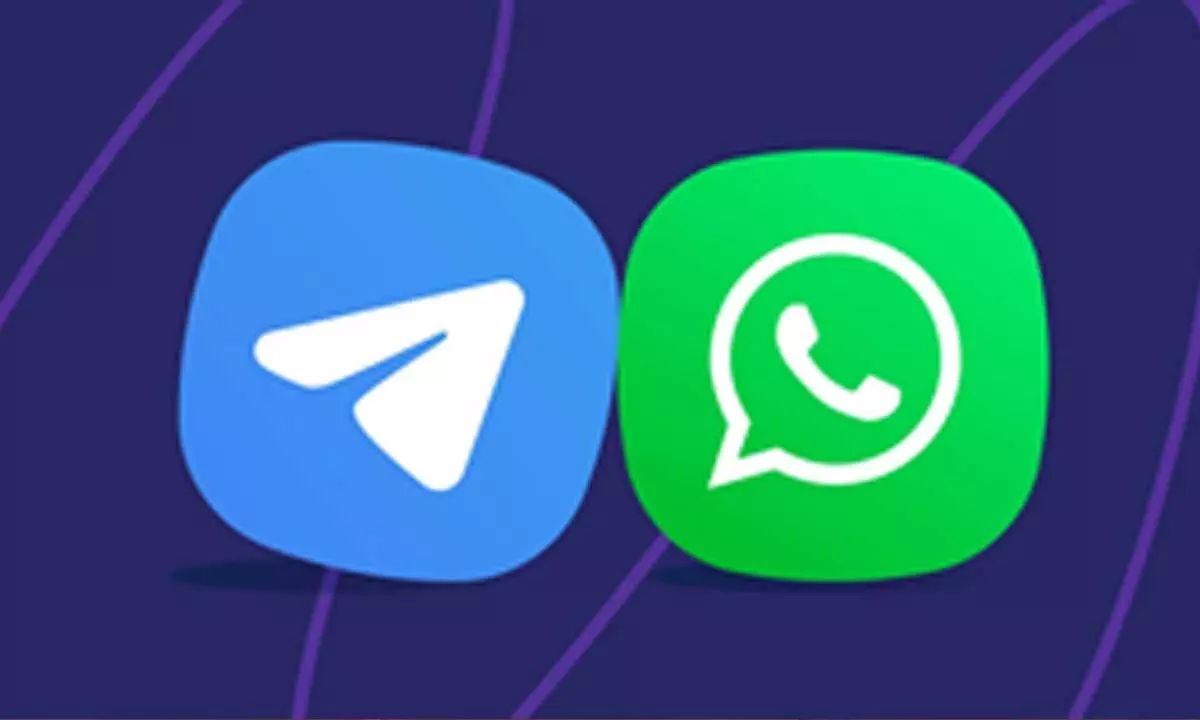 Delhi HC orders WhatsApp, Telegram to remove fraudulent groups misusing VC firms trademarks