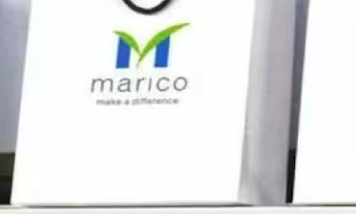 Marico logs Rs 386 crore as Q3 PAT