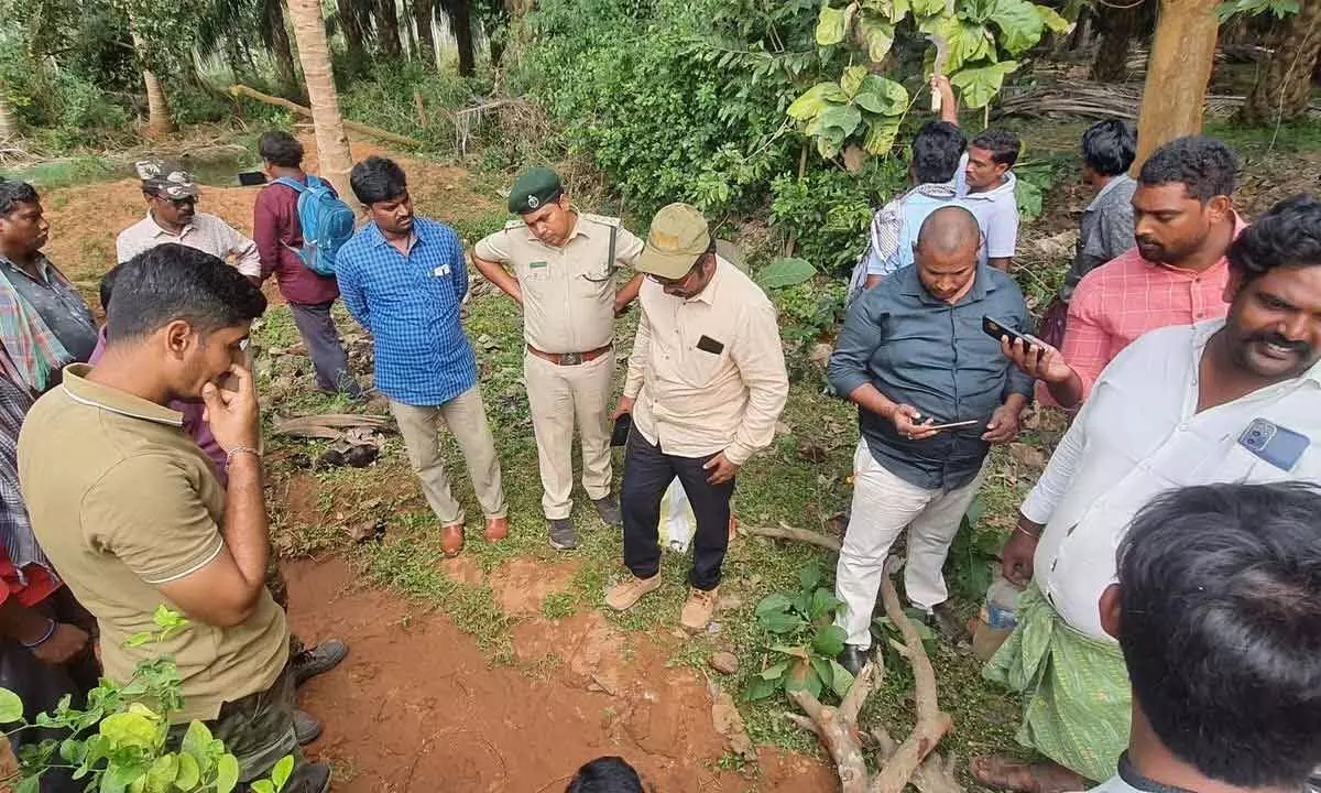 Forest department officials tracing the footprints of tiger on Monday