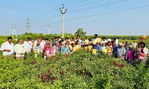 Bandari Shravani Sree holds Maata Manthi program in Kothapalli village of Singanamala
