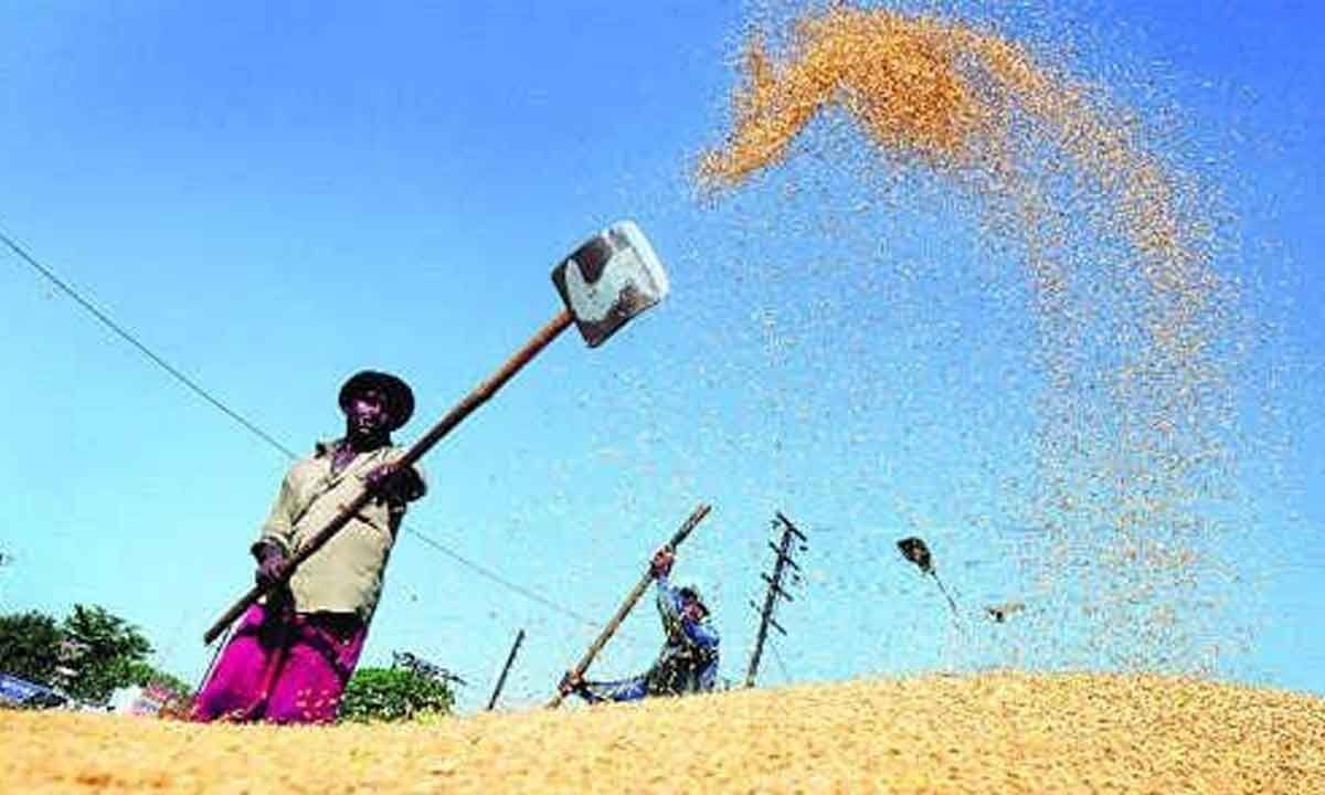 Telangana Govt Crackdown On Rice Millers Yields Results