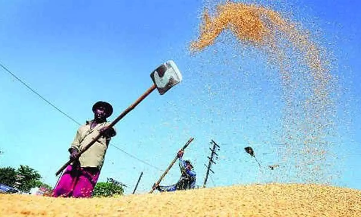 Telangana Govt crackdown on rice millers yields results