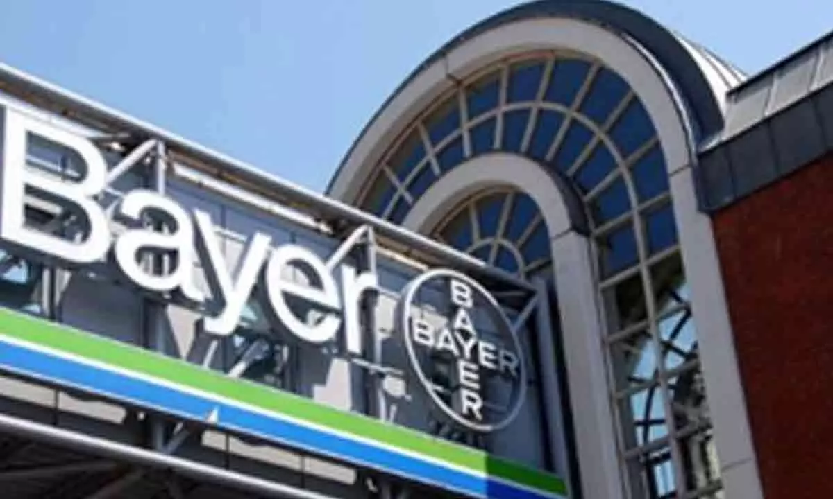 Bayer shares slump after court order to pay $2.25 bn in damages