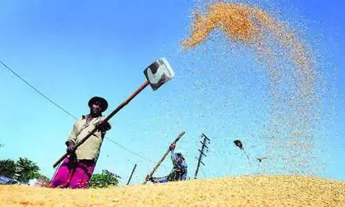 Telangana Govt crackdown on rice millers yields results