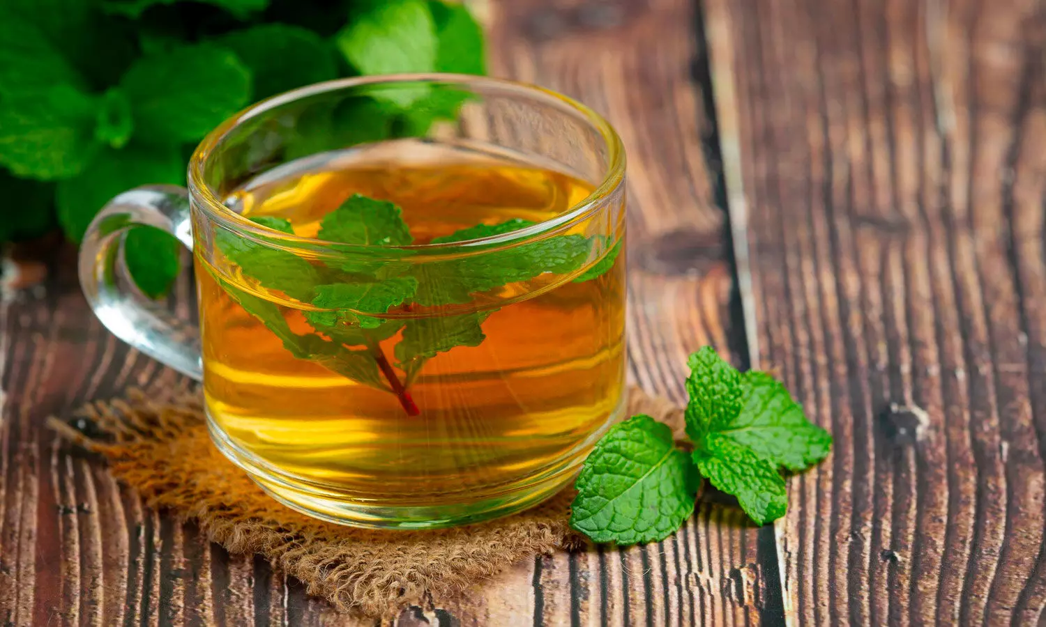 Is Green Tea a Weight Loss Wonder? Find out the truth