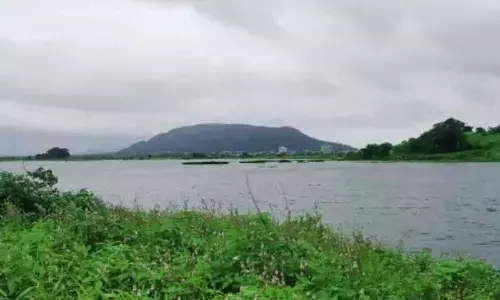 World Wetlands Day 2024: Date, history and significance