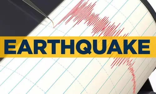 Mild earthquakes stir Gujarats seismic zone without casualties