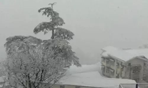 Shimla gets season’s first snowfall; tourists rush
