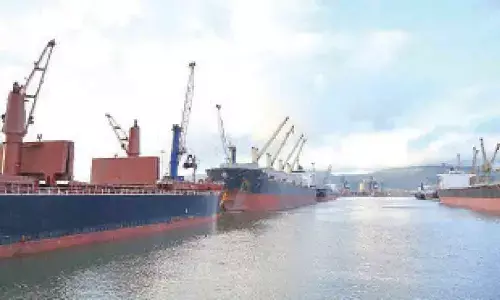 VPA handles record quantity of coils in Jan