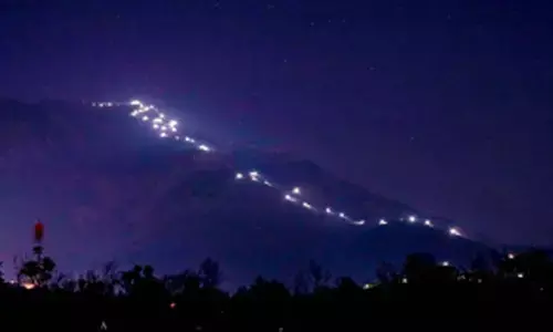 Solar lights for Chamunda trail in HP; solar fencing for farmers to bar strays