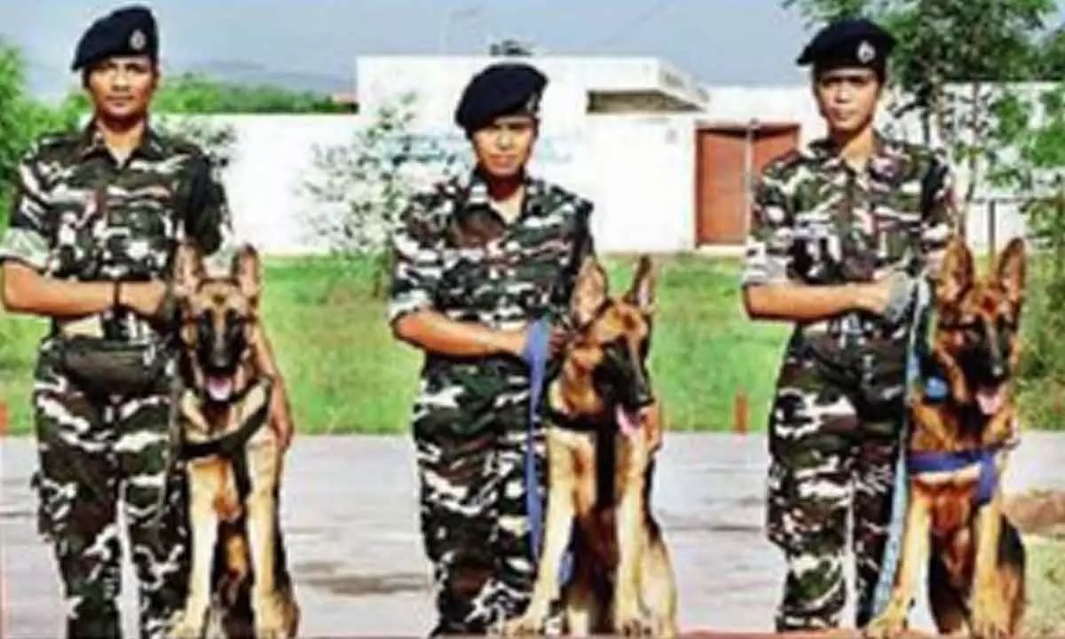 In a first, SSB appointed three women handlers for dog squads