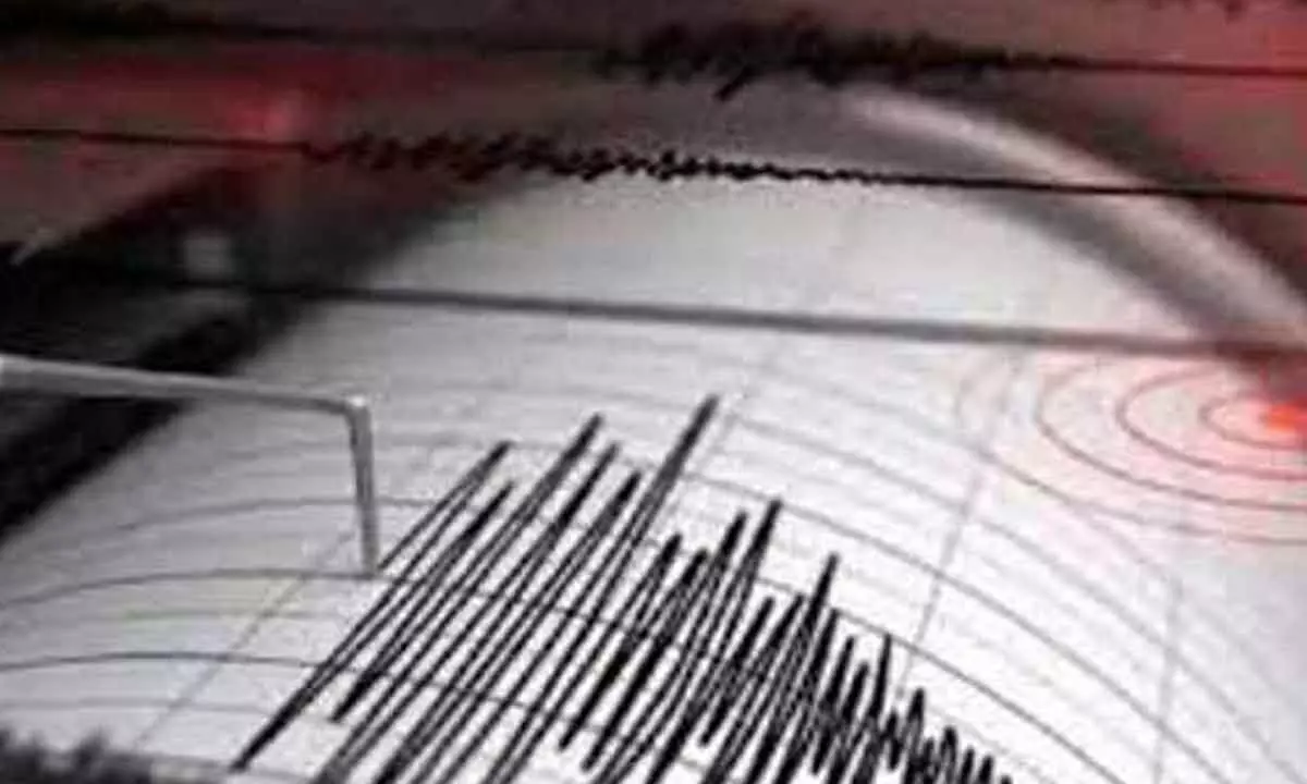 5.0-magnitude quake hits Indonesia