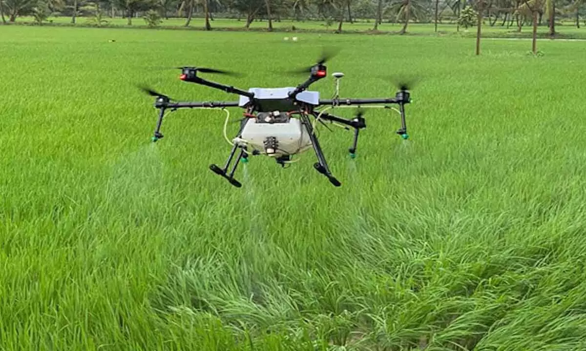 Drone Didi: IIT Mandi training women to become kisan drone operators