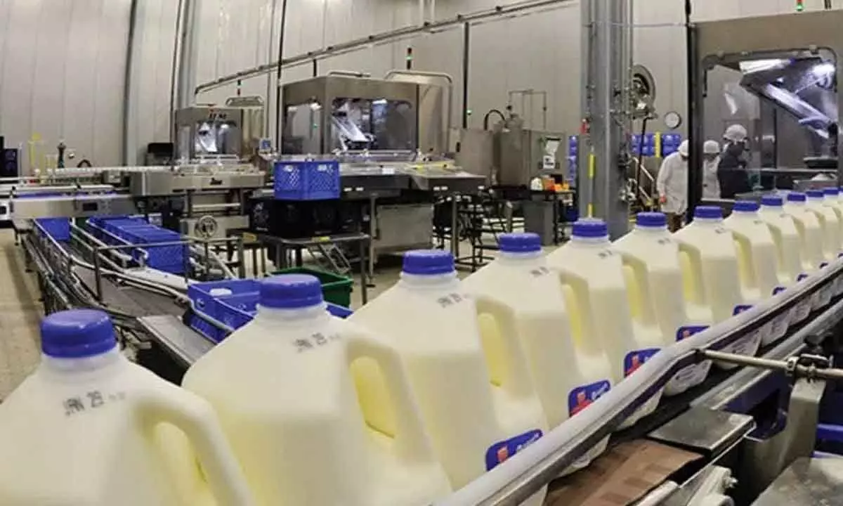 Himachal to have automated milk processing plant