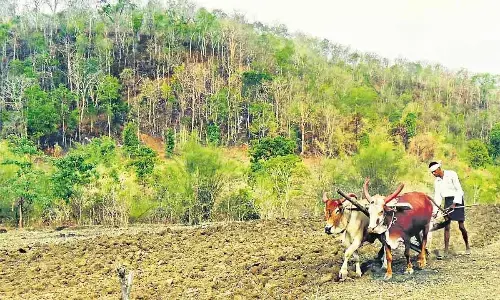 Land and its role in tribal development