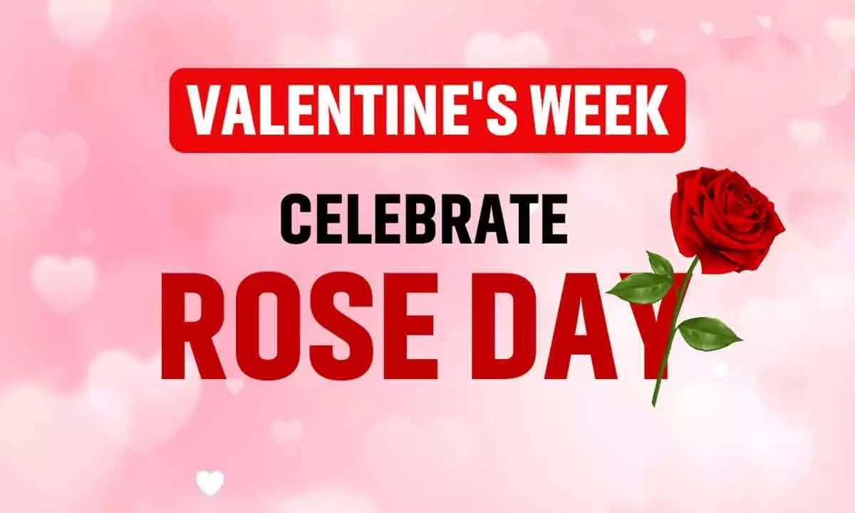 Rose Day 2024: Decode the meaning of different rose colours this Valentine Week