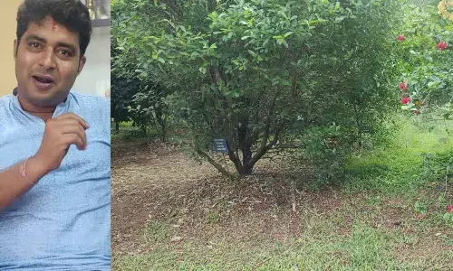 Dr Harish Bhat Memorial Bird Sanctuary - A bird sanctuary with new vision