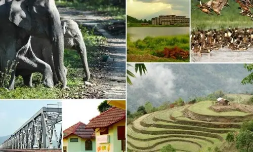 Assamese scripting a new destiny