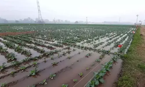 Embezzlement of rs two crore rain damage funds unearthed