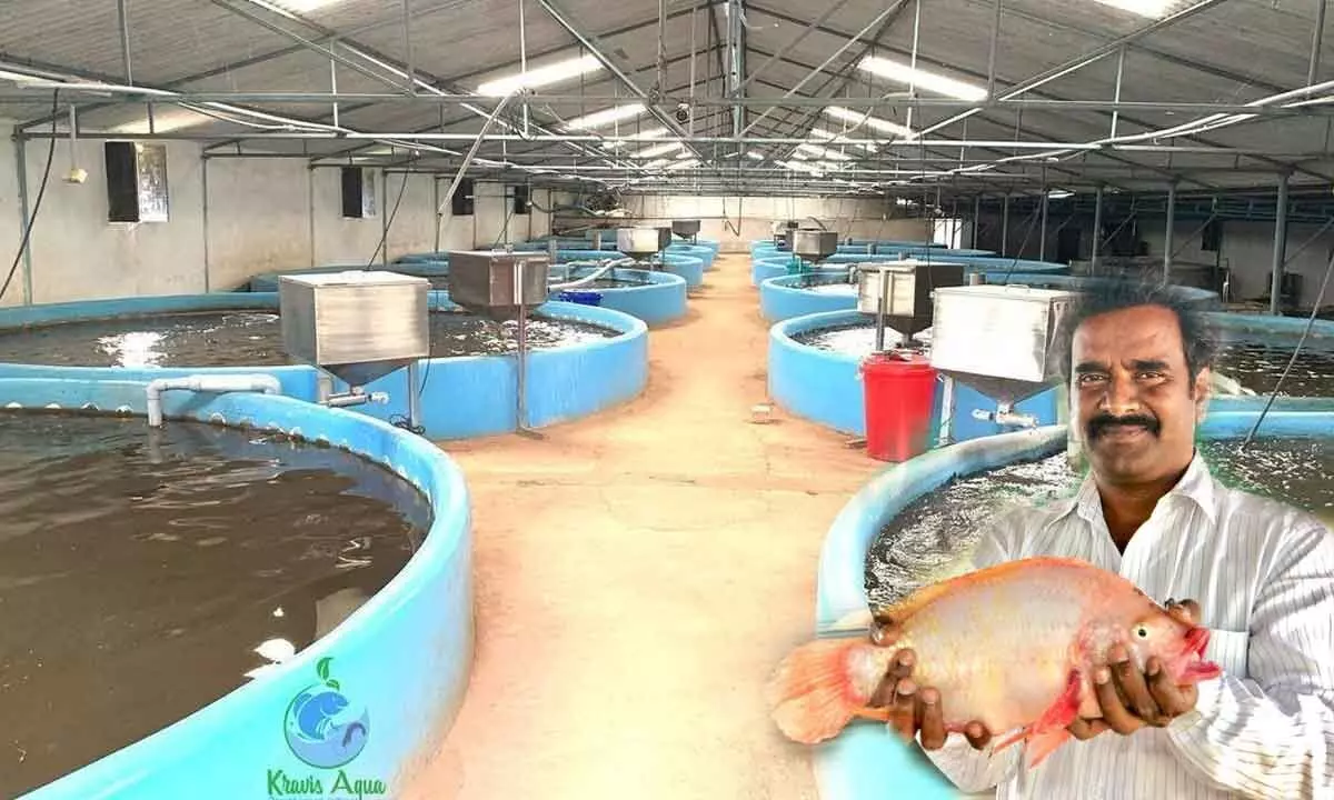 Food For Thought: Be innovative to net bigger catch in aquaculture sector
