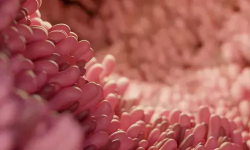 ‘Obelisks’: A new class of life-form in Human digestive system