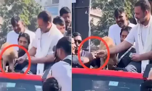 Rahul gets embroiled in biscuit controversy