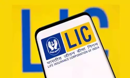 LIC unveils new plan