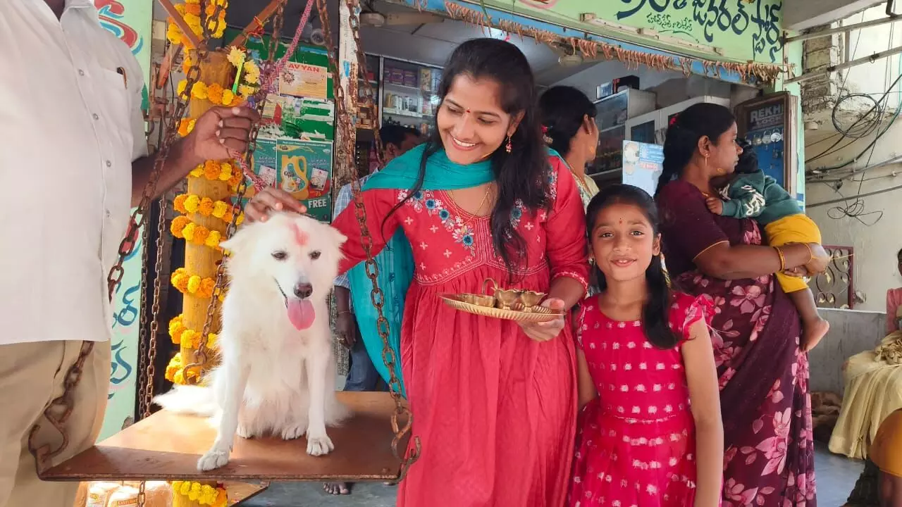 Devotees Unique Vow: Pet Dog Offered Gold at Sammakka Sarakka Festival