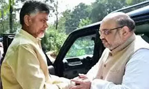 TDP almost in NDA fold